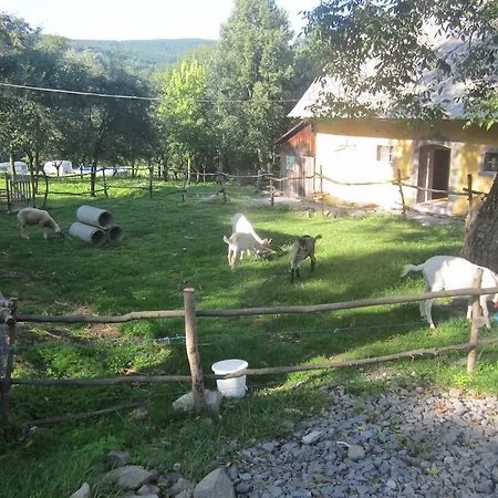 Naturism Camping Dobra Luka - Nuda Camp Pliesovce