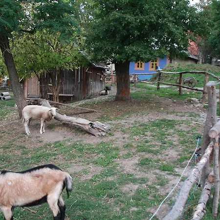 Naturism Camping Dobra Luka - Nuda Camp