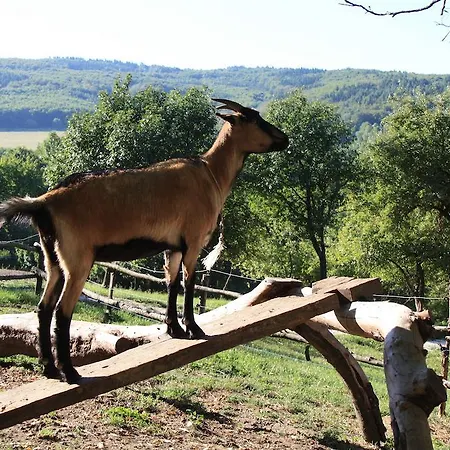 Naturism Camping Dobra Luka - Nuda Camp