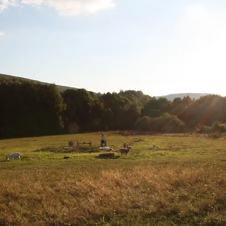 Naturism Camping Dobra Luka - Nuda Camp